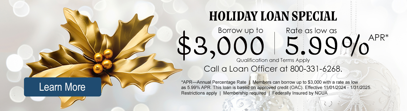 Offering a holiday loan for members.